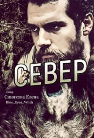 Обложка к Елена Синякова. Север