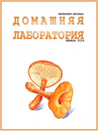 Обложка к Домашняя лаборатория №1 (январь 2018)