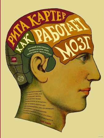 Обложка к Рита Картер. Как работает мозг