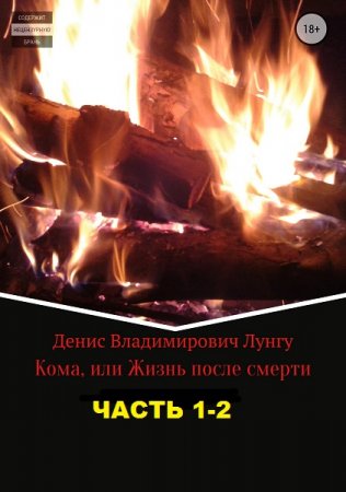 Обложка к Денис Лунгу. Кома или жизнь после смерти (2018)
