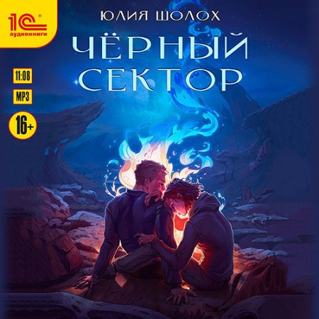 Обложка к Шолох Юлия. Чёрный сектор (2021) Аудиокнига