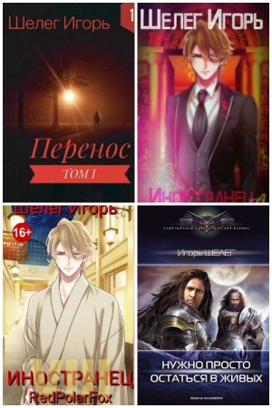 Обложка к Игорь Шелег. Сборник 16 книг
