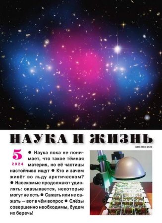 Обложка к Наука и жизнь №5 (май 2024)