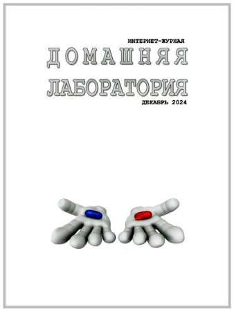 Обложка к Домашняя лаборатория №12 (декабрь 2024)
